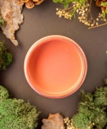 Chalk Mineral Paint- Cottage Door