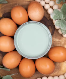 Chalk Mineral Paint- Vintage Duck Egg