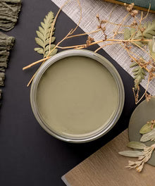 Chalk Mineral Paint- Thicket